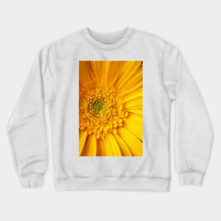 Close Up Yellow Gerbera Daisy Crewneck Sweatshirt